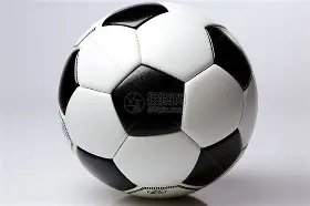 福建文旅男,篮引入新球,员拉肖恩,227Crown,227皇冠,227皇冠体育入口,227皇冠官网,227皇冠体育APP下载