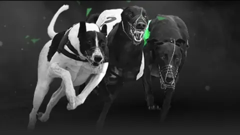 三节独得39分！SGA风趣回应：若破79分愿教练加时赛继续指挥