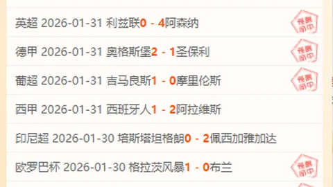 网络正能量汇聚，高品质内容共响时代脉搏