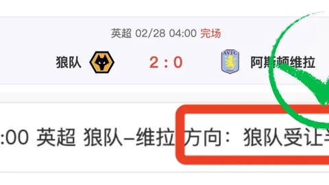 威尔希尔评价：道曼实力非凡，赖斯担纲传承重任，向榜样致敬！