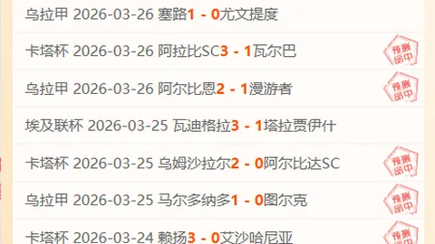 Midnight大乐透期号专家质合分析前区十码推荐策略